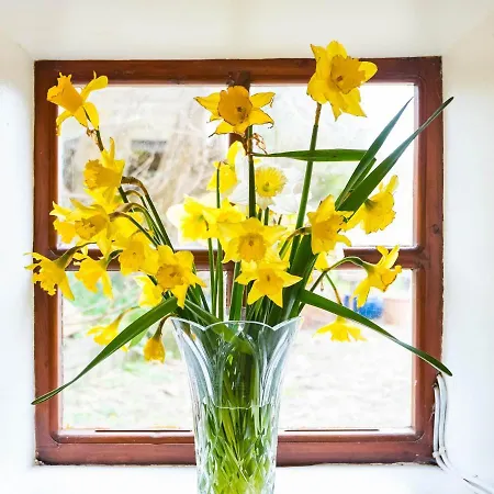 Holiday home The Stable Fethard on Sea